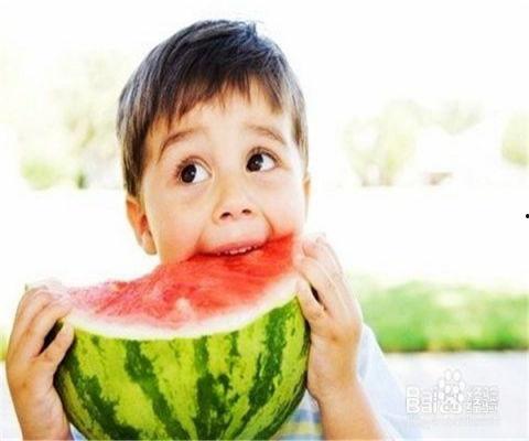 吃瓜专用防窥网,隐私守护者的神秘面纱