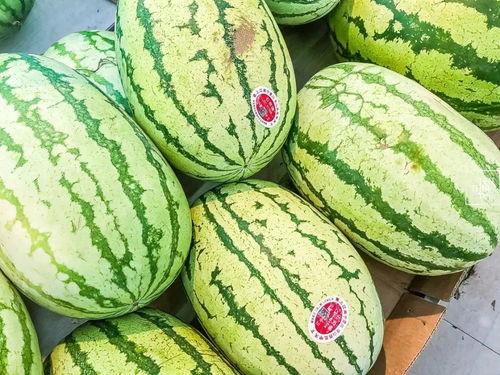 吃瓜网的其他特点是什么,趣味横生，特色鲜明的网络社区全解析