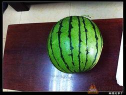 17吃瓜官网,揭秘娱乐圈最新热点，带你畅游八卦海洋