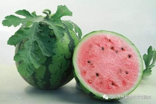 网爆黑料吃瓜不打洋