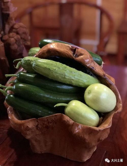 网红吃瓜黄钰杰,揭秘吃瓜界的风云人物