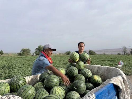 比奇堡吃瓜网,揭秘娱乐圈最新热点，带你领略幕后故事