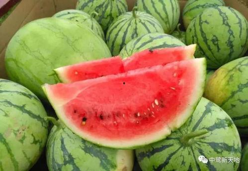 最新吃瓜官网,吃瓜官网独家爆料，明星幕后故事大公开！