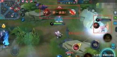 帝王路吃瓜人明月小说网,吃瓜人视角下的明月小说世界